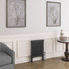 Eastbrook Imperia 2 Column Horizontal Radiator Column Radiator Eastbrook Matt Anthracite 600mm x 515mm 