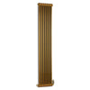 Terma - Colorado 2 Column Vertical Radiator Designer Radiator > Column Radiator> Vertical Radiator Terma 