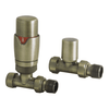 HeatQuick - Straight Thermostatic Radiator Valve & Lockshield Heating Radiator Accessories > Radiator Valves > Thermostatic Valves Heatquick Brushed Brass 