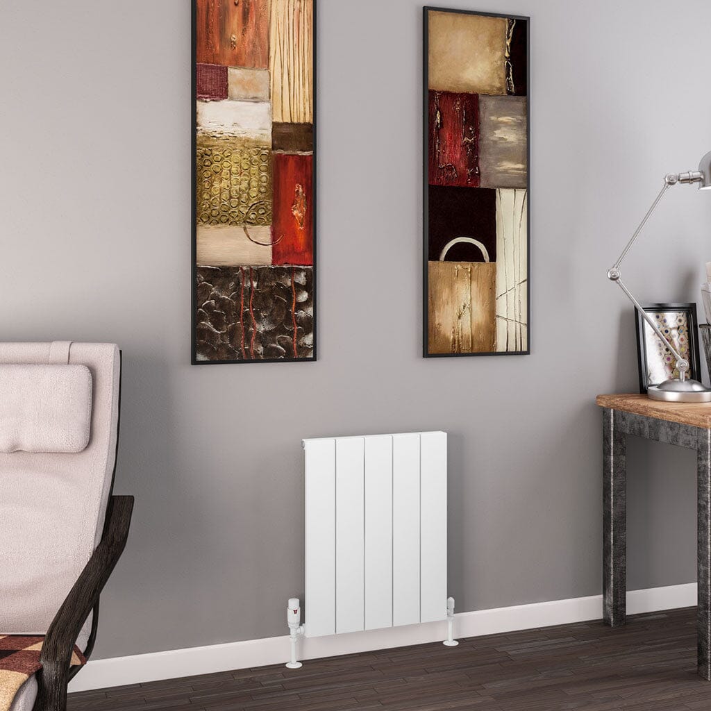 Eastbrook Charlton Horizontal Aluminium Radiator