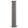 Terma - Colorado 2 Column Vertical Radiator Designer Radiator > Column Radiator> Vertical Radiator Terma 